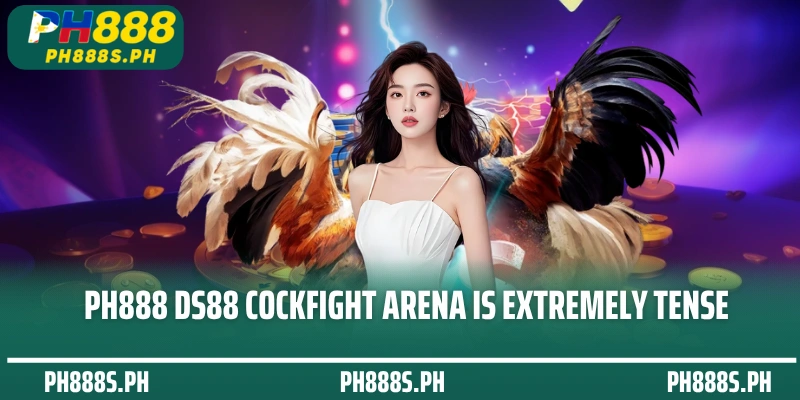 PH888 DS88 Cockfight Arena is extremely tense